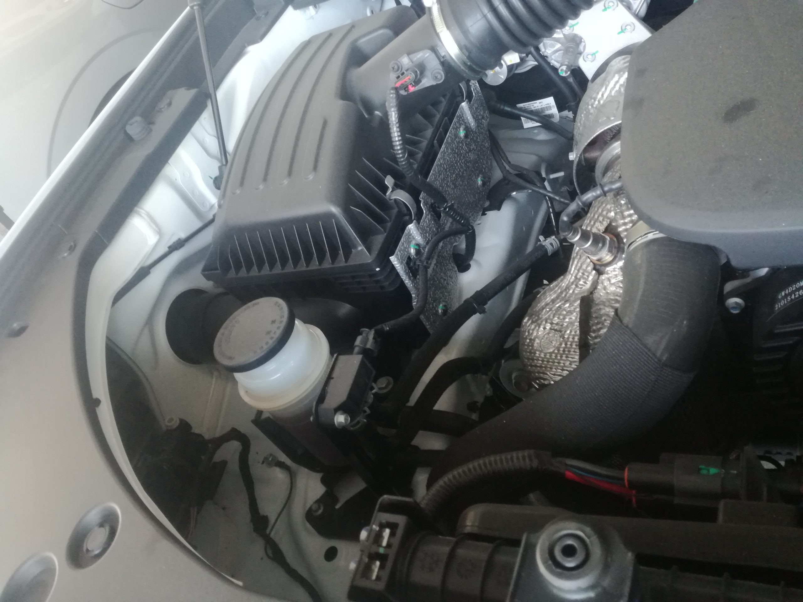 GWM Engine Oil change