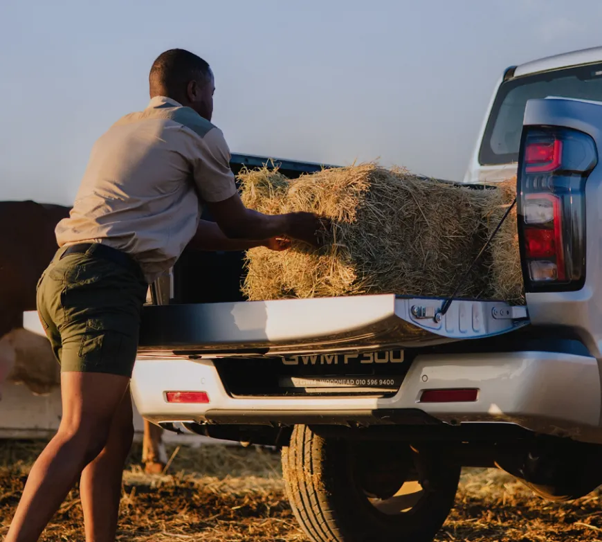 CMH GWM P300 SX S/C Exterior2